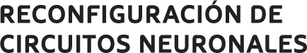 Reconfiguración de Circuitos Neuronales