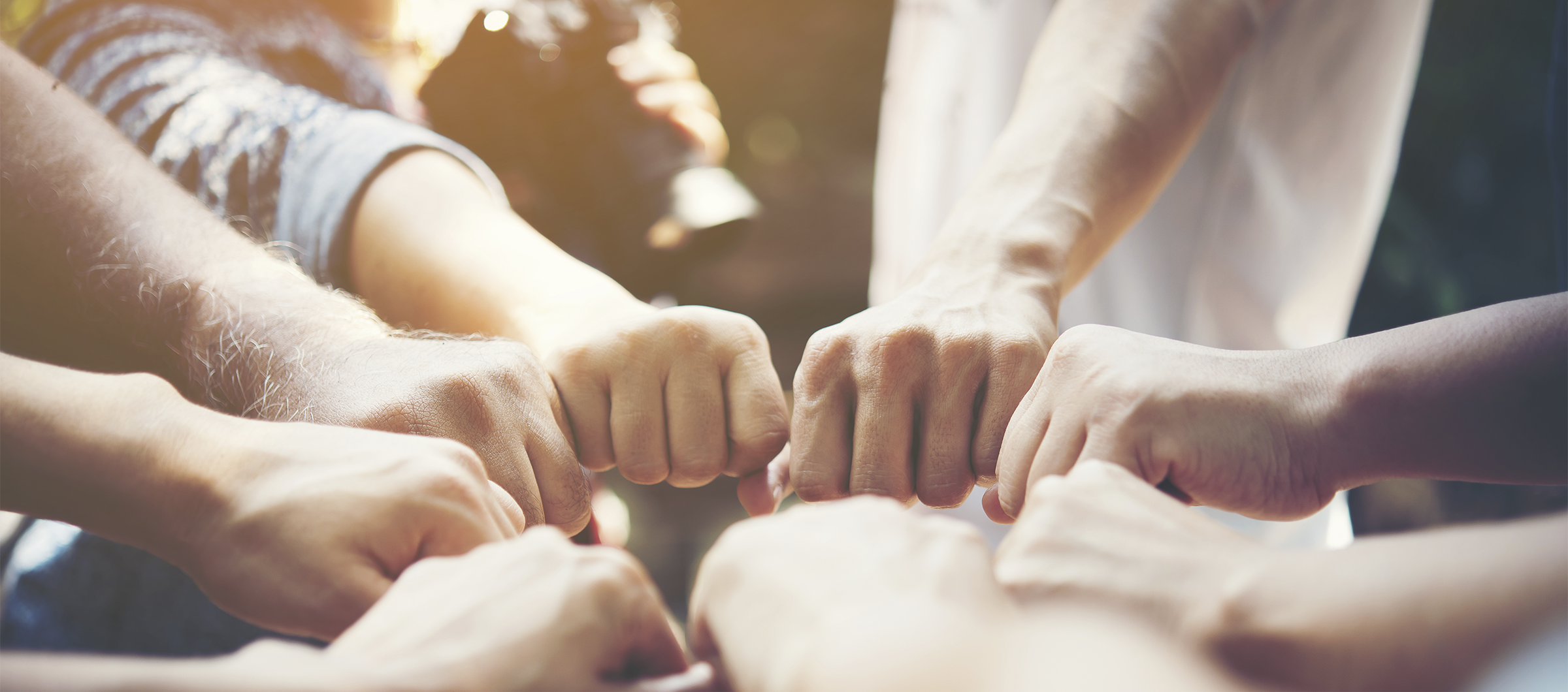 Servicios para Empresas