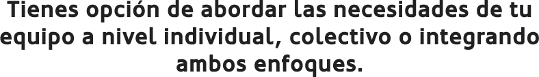 Tienes opción de abordar las necesidades de tu equipo a nivel individual, colectivo o integrando ambos enfoques.