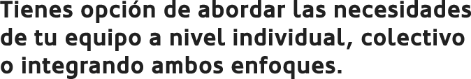 Tienes opción de abordar las necesidades de tu equipo a nivel individual, colectivo o integrando ambos enfoques.